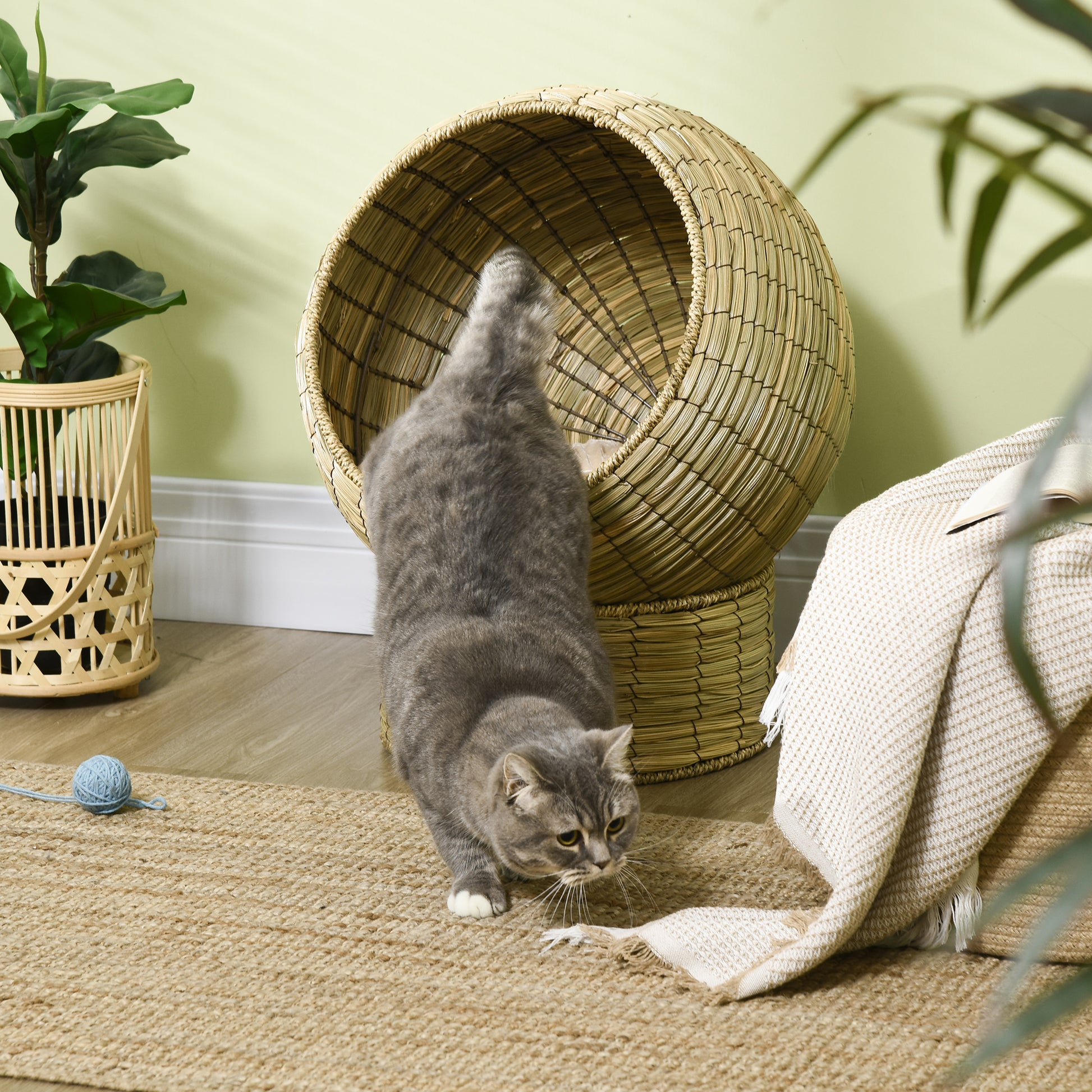 Elevated Cat Bed W/ Cat Egg Chair Shape, Raised Wicker Cat Bed